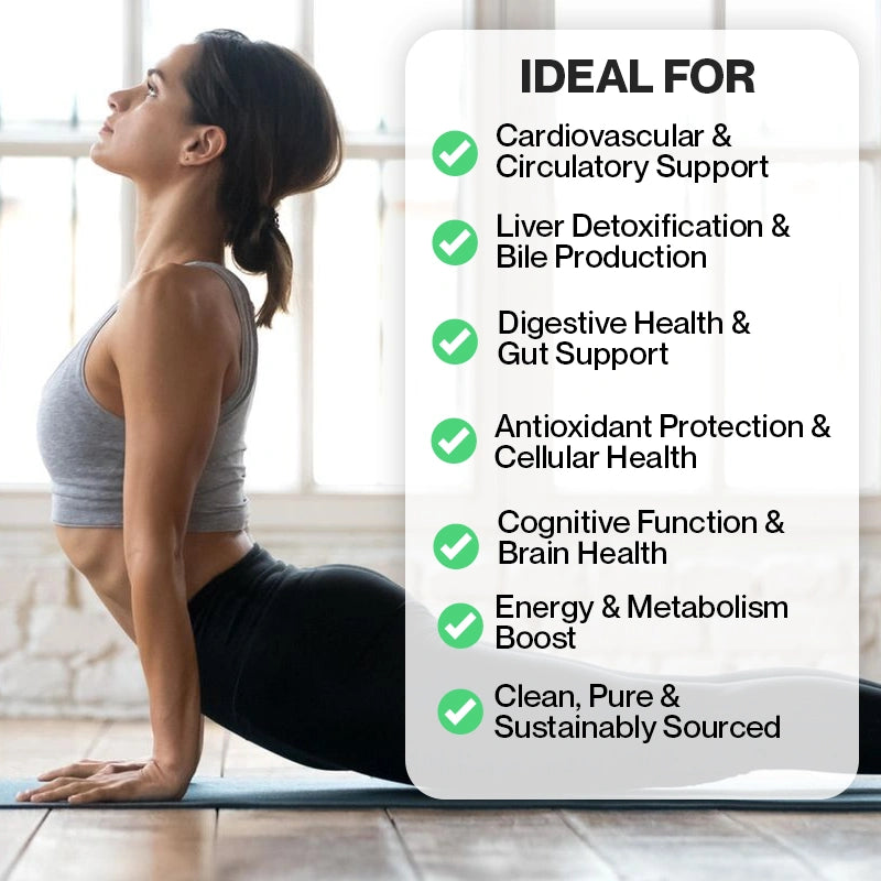 Minerva Nature Pure Artichoke Extract – Natural Health Protection