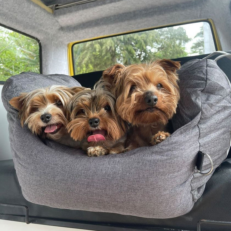 Premium & Safe, Fully Detachable and Washable Travel Car Seat Cover for Small, Medium, Large Pets