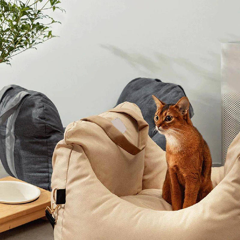 Premium & Safe, Fully Detachable and Washable Travel Car Seat Cover for Small, Medium, Large Pets