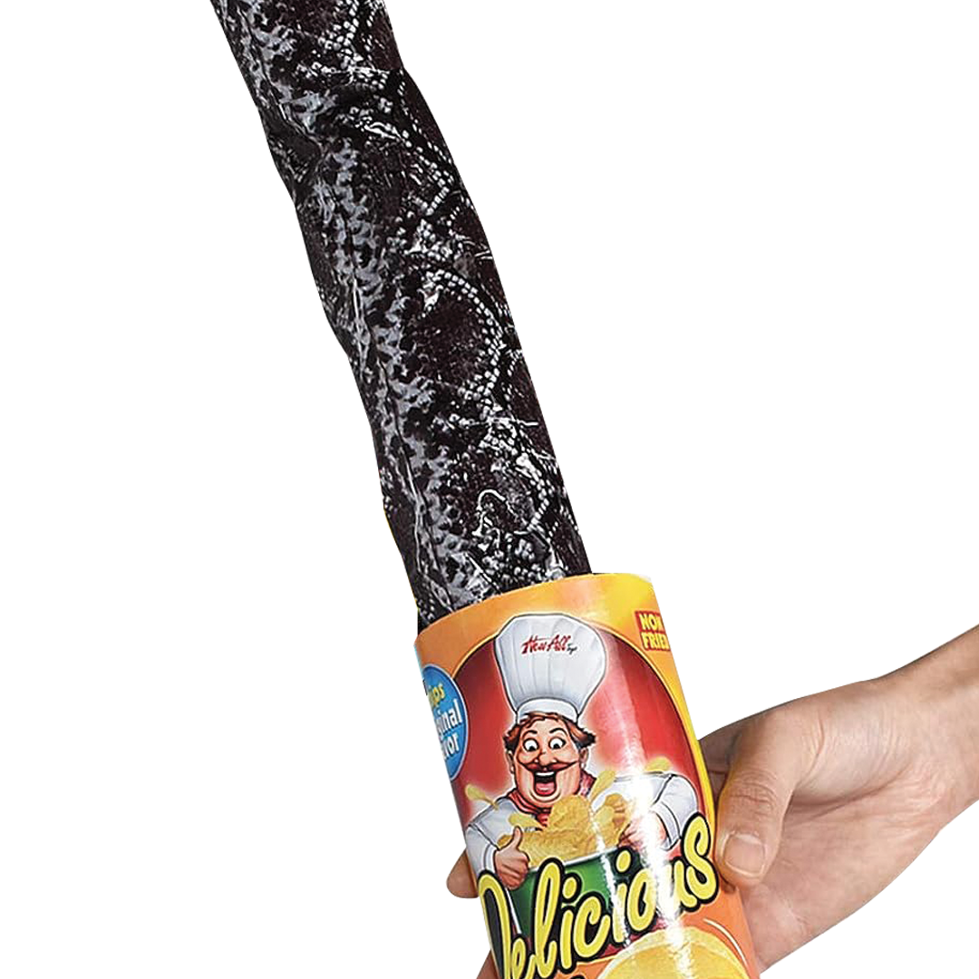 Quality Magic Potato Chip Can Prank Snake Toy & Spider in Wooden Handmade Box April Fool Halloween Party Gift for Adult & Kids