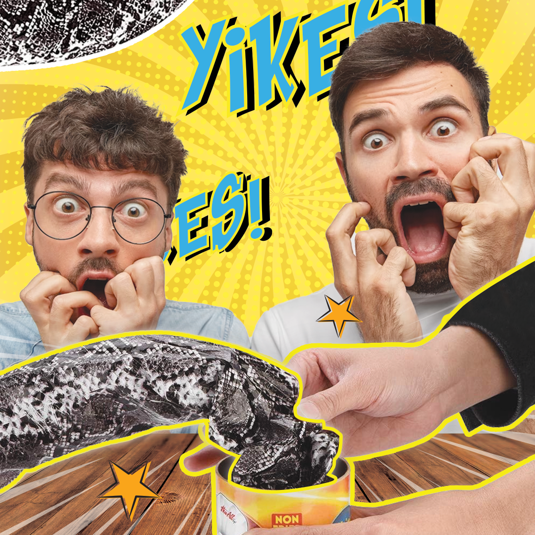 Quality Magic Potato Chip Can Prank Snake Toy & Spider in Wooden Handmade Box April Fool Halloween Party Gift for Adult & Kids