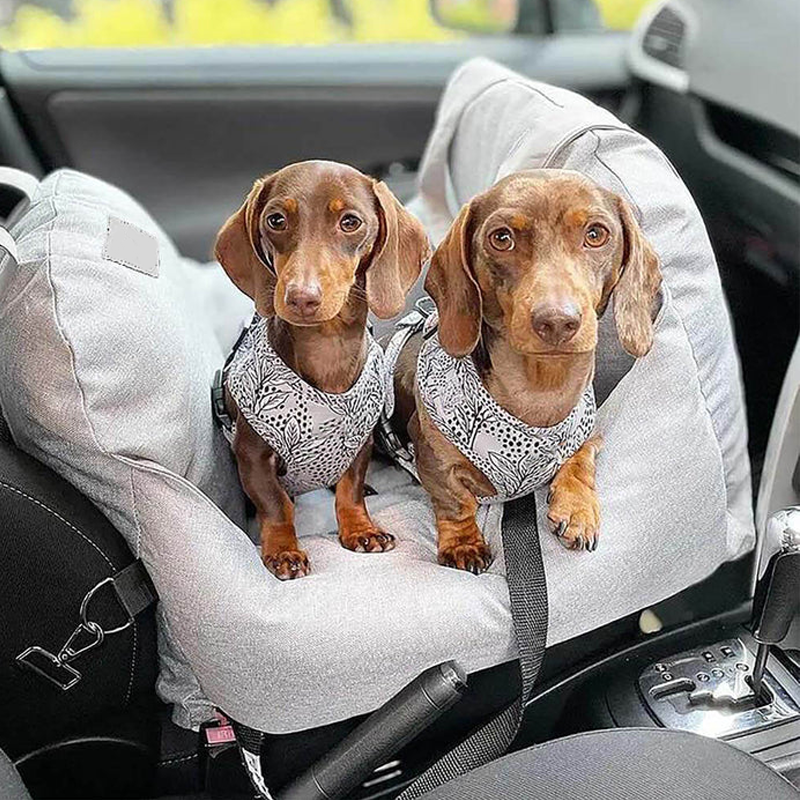 Premium & Safe, Fully Detachable and Washable Travel Car Seat Cover for Small, Medium, Large Pets