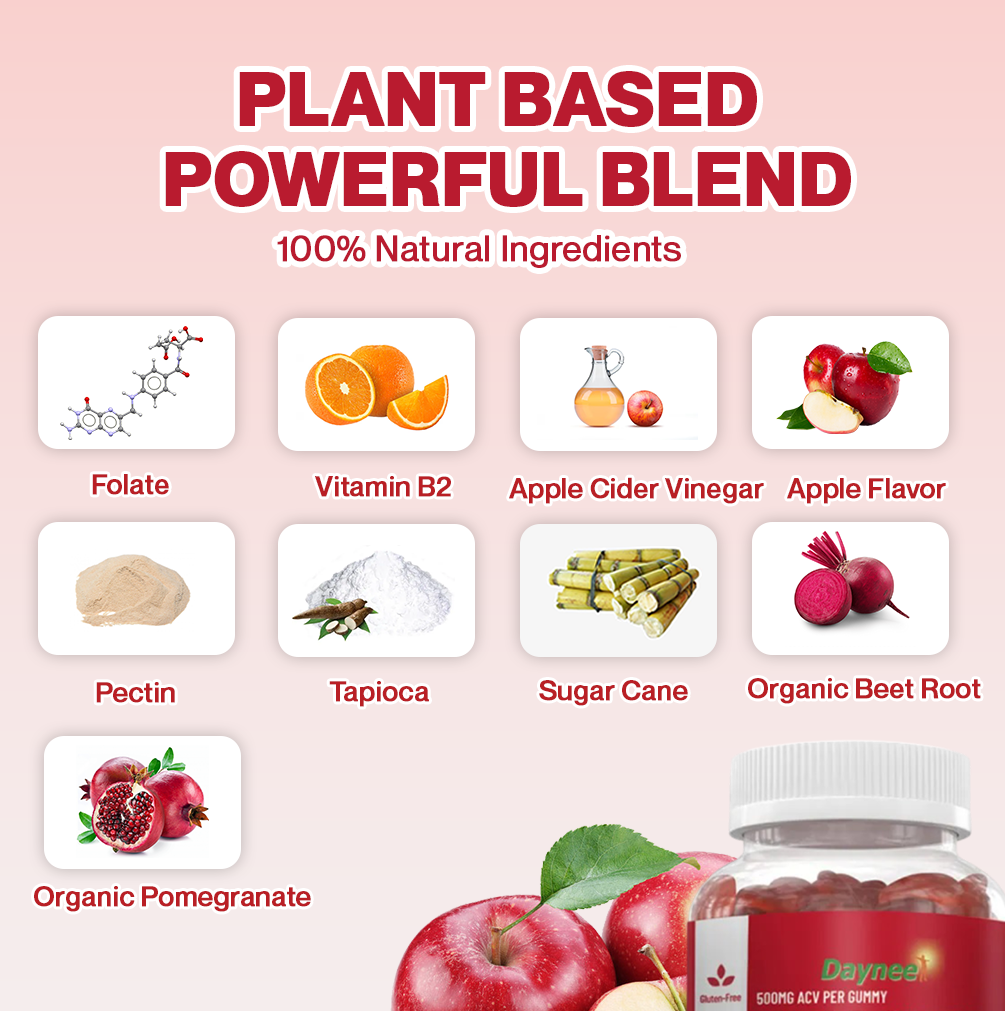 Daynee Apple Cinder Vinegar Gummies | Dietary Supplement for Energy and Health Support